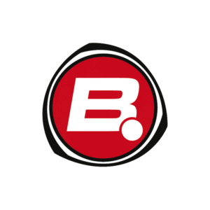 Bigpoint Logo